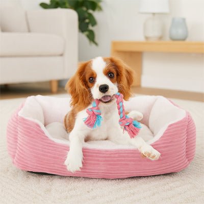 Coussin Chien - PanierToutou™