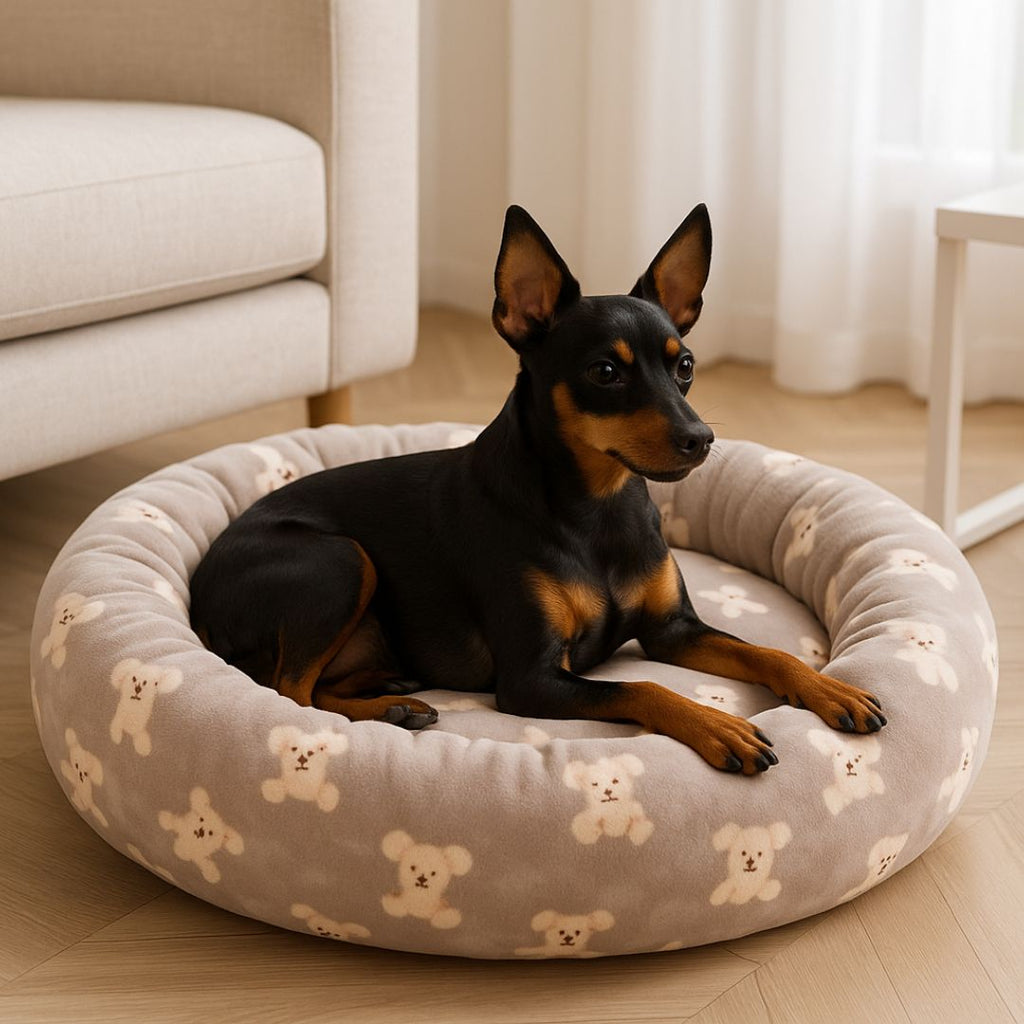Coussin chien - PetitToutou™