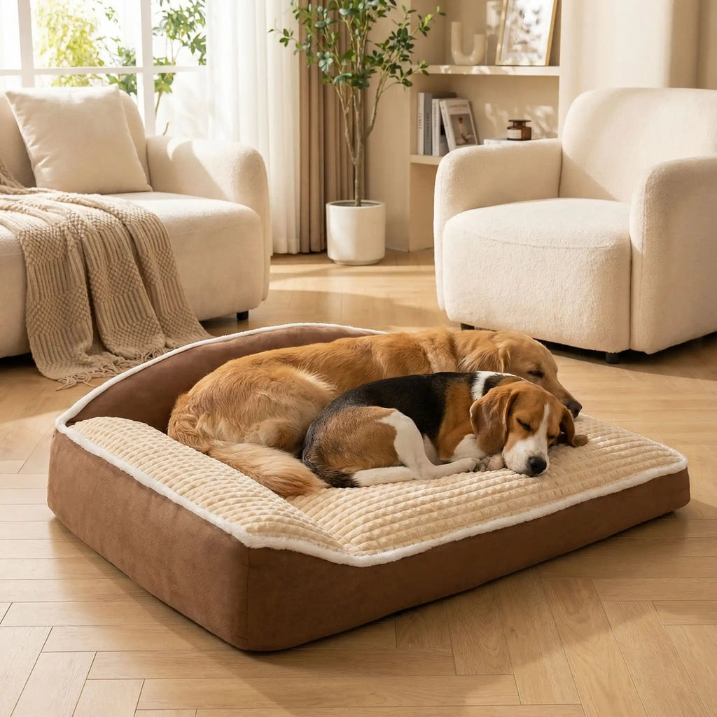 Coussin chien XXL déhoussable - ErgonomiqueToutou™