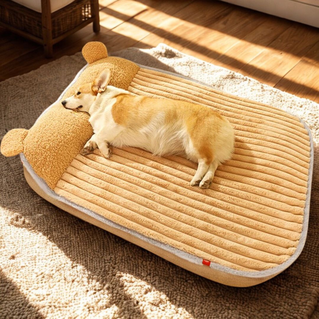 Coussin déhoussable pour chien - LitToutou™