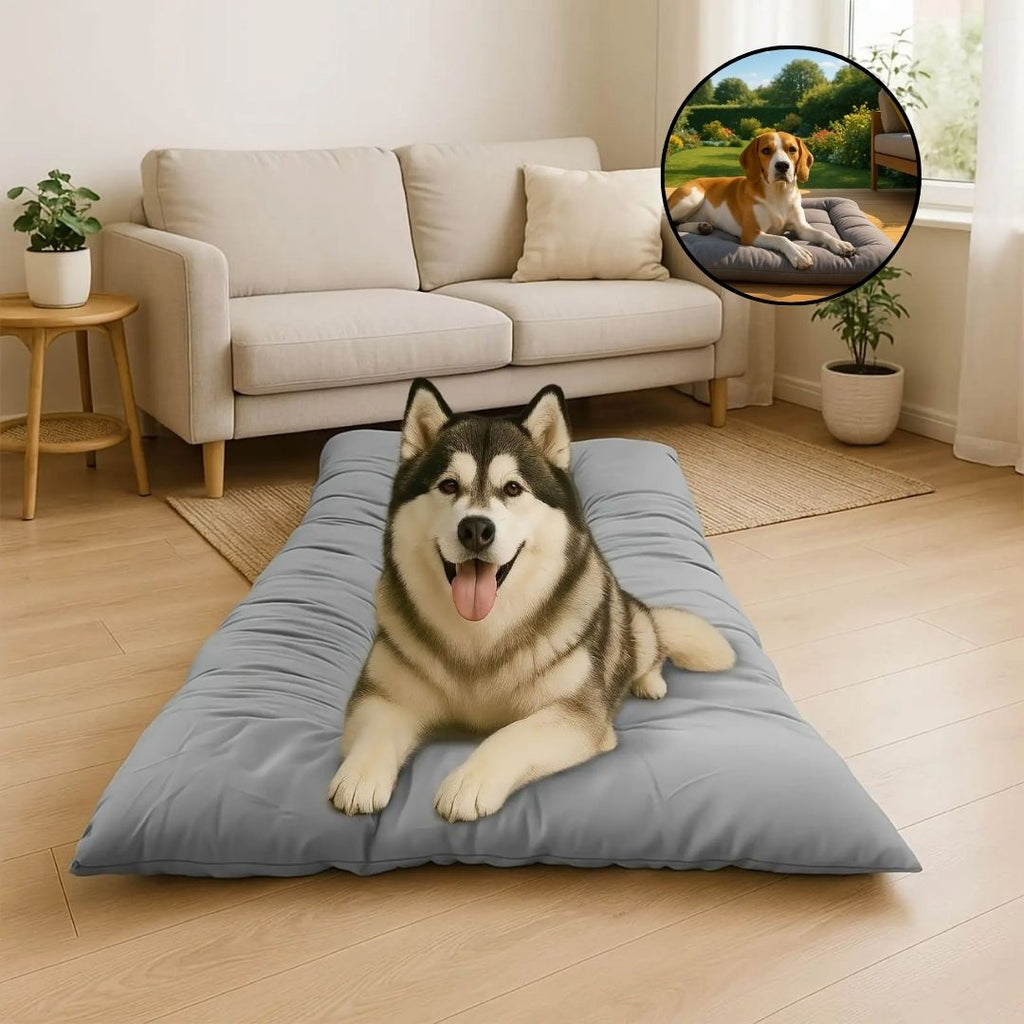 Coussin pour chien XXL - MatelasToutou™