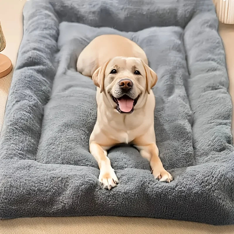 Coussin pour chien - MatelasToutou™