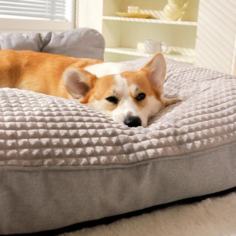 Coussin pour chien xxl - DéhoussableToutou™