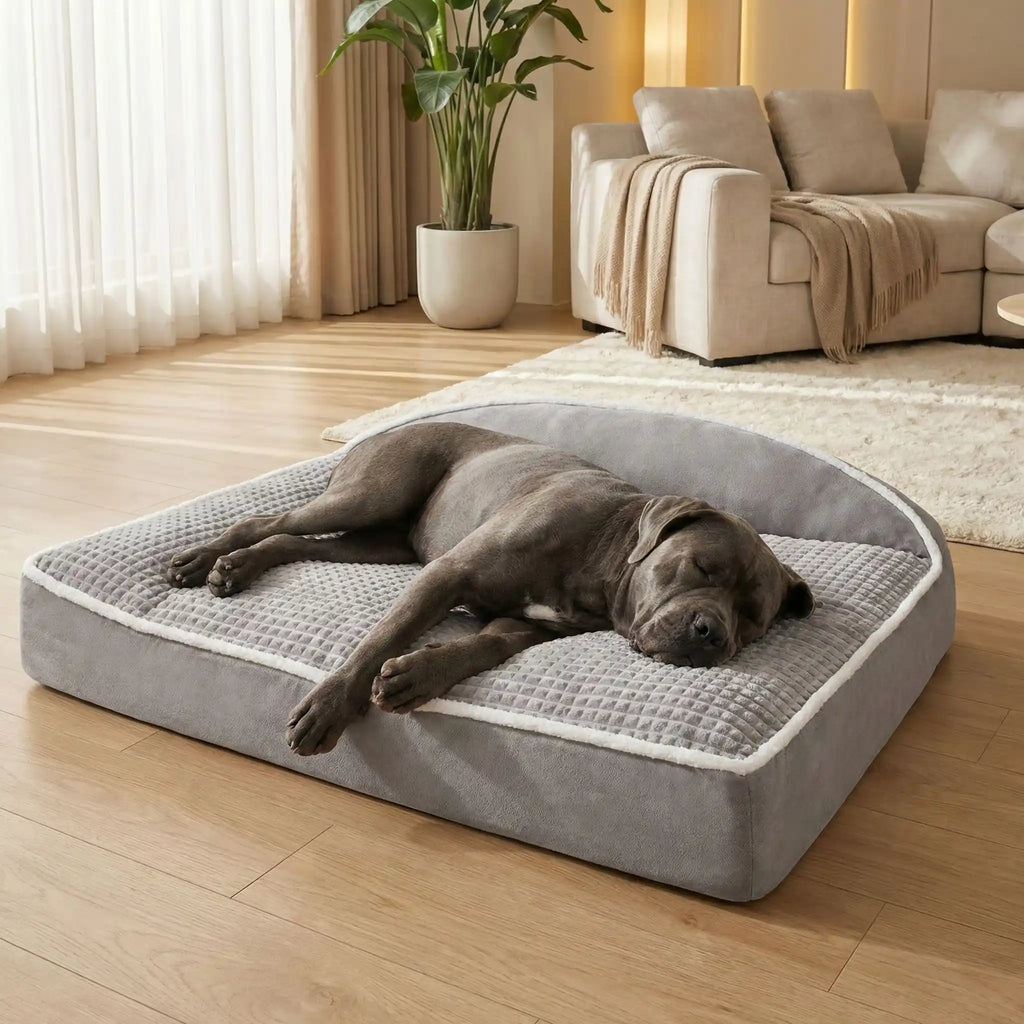 Coussin pour chien xxl - GrandToutou™