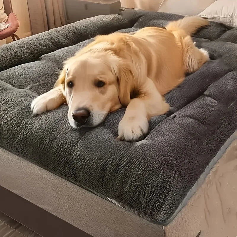 Coussin pour chien - MatelasToutou™