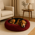 Coussin-xl-pour-chien-bordeaux-lavable en machine-antidérapant en peluche douce et rembourrage 100% coton haute densité-un chien de taille moyenne qui dort paisiblement la tête reposant sur le rebord du lit rond en forme de donut de couleur bordeaux dans le salon de la maison