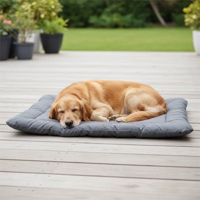 Couverture imperméable pour chien - PliableToutou™