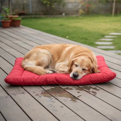 Couverture imperméable pour chien - PliableToutou™