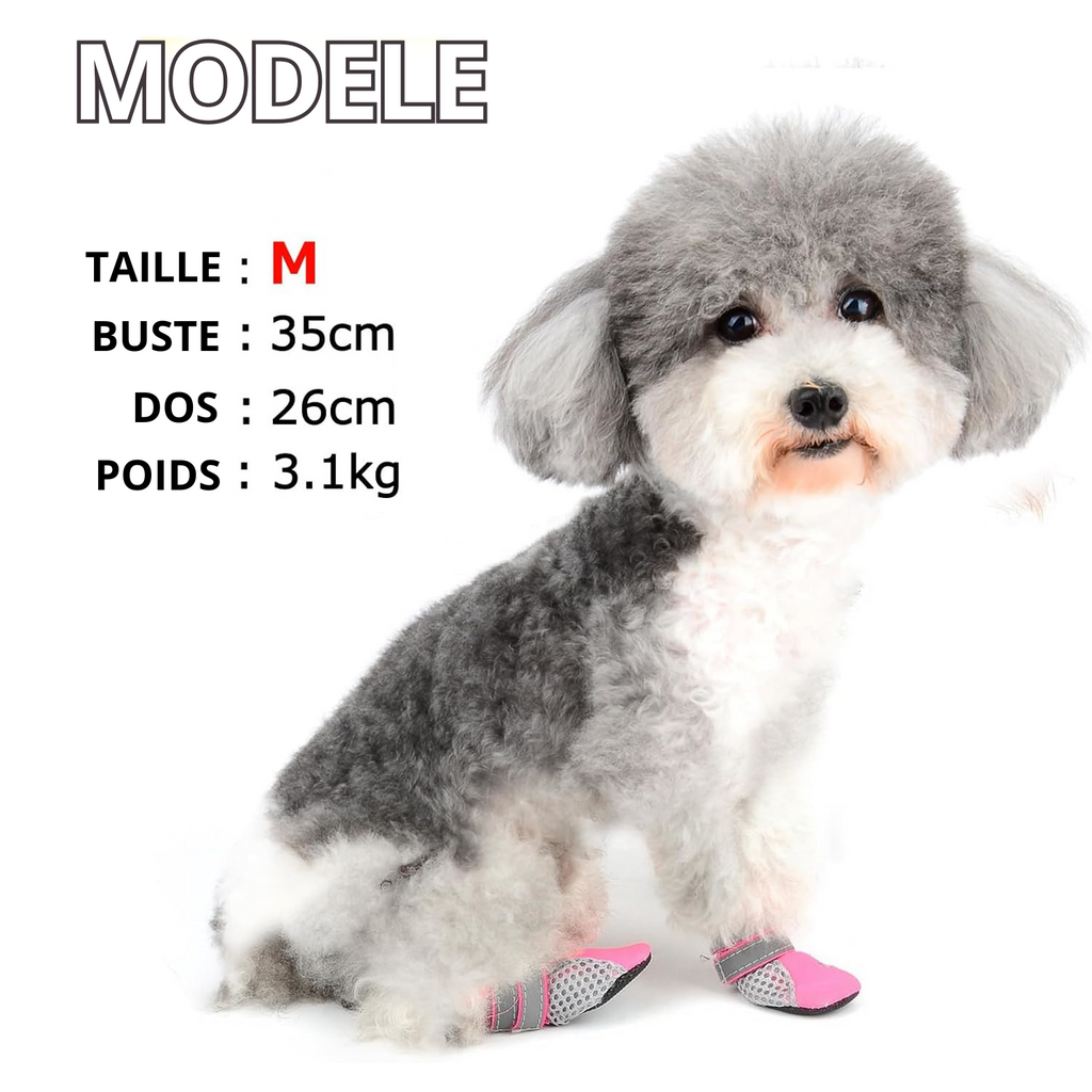 Chausson Chien Anti Chaleur