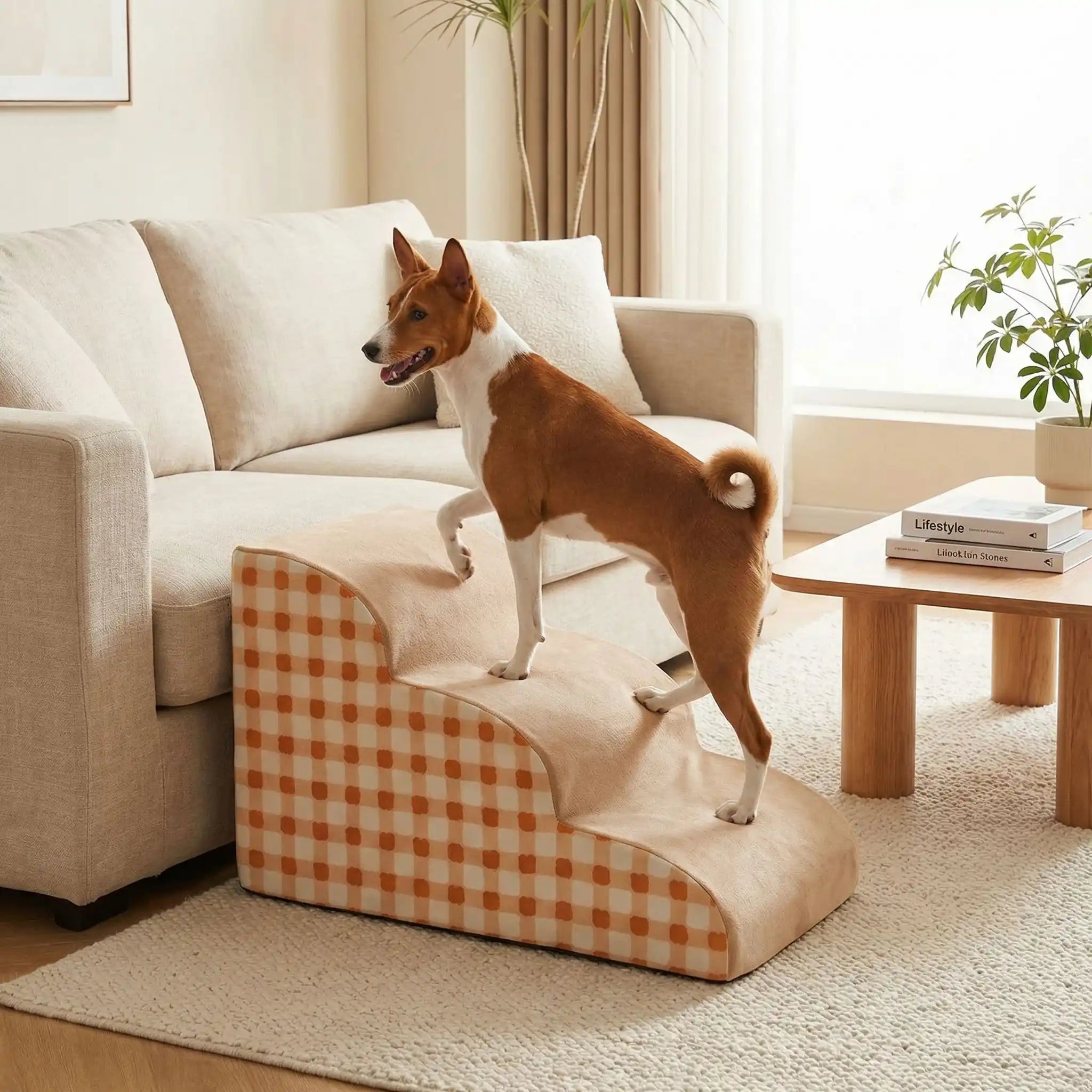 Escalier en mousse pour chien -DéhoussableToutou™