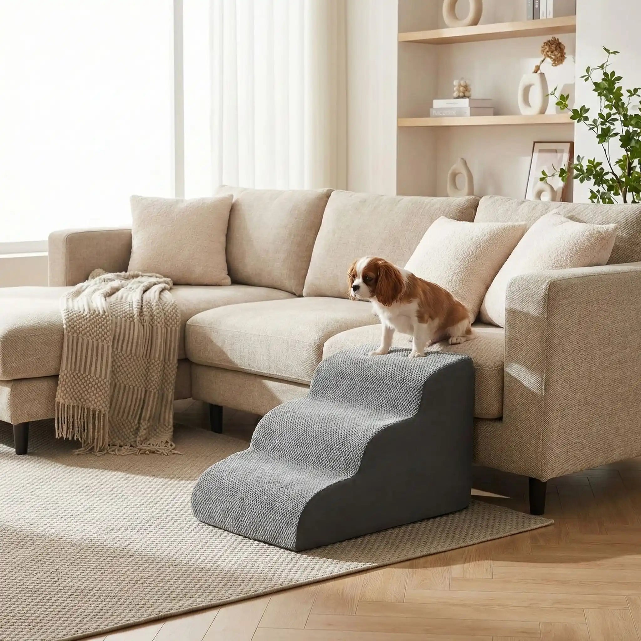 Escalier mousse pour chien - PetitToutou™