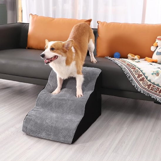 Escalier mousse pour chien - PetitToutou™