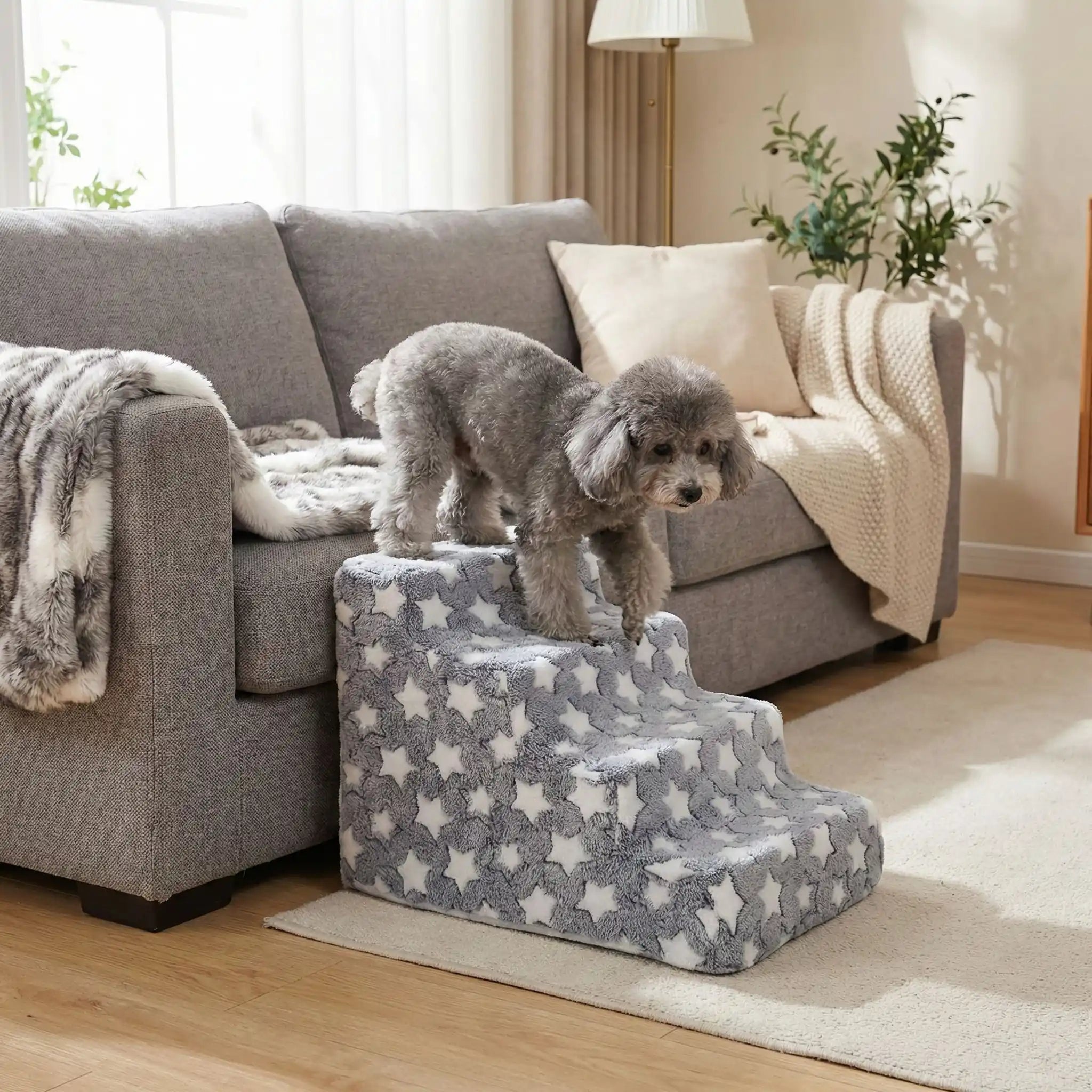 Escalier pour chien -PetitToutou™