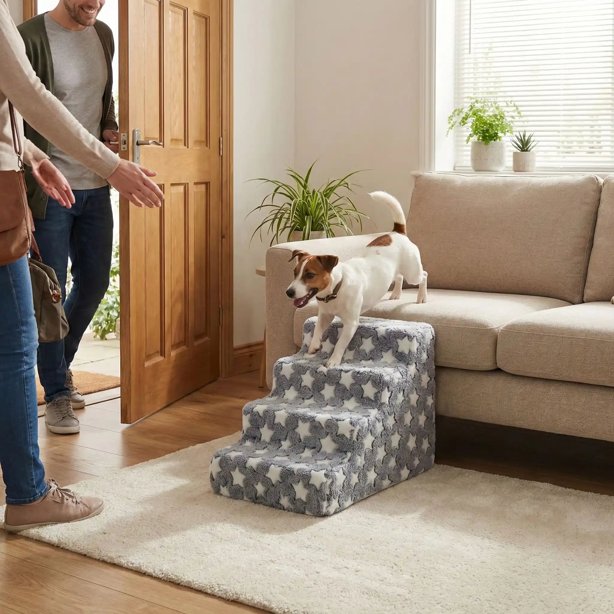 Escalier pour chien -PetitToutou™