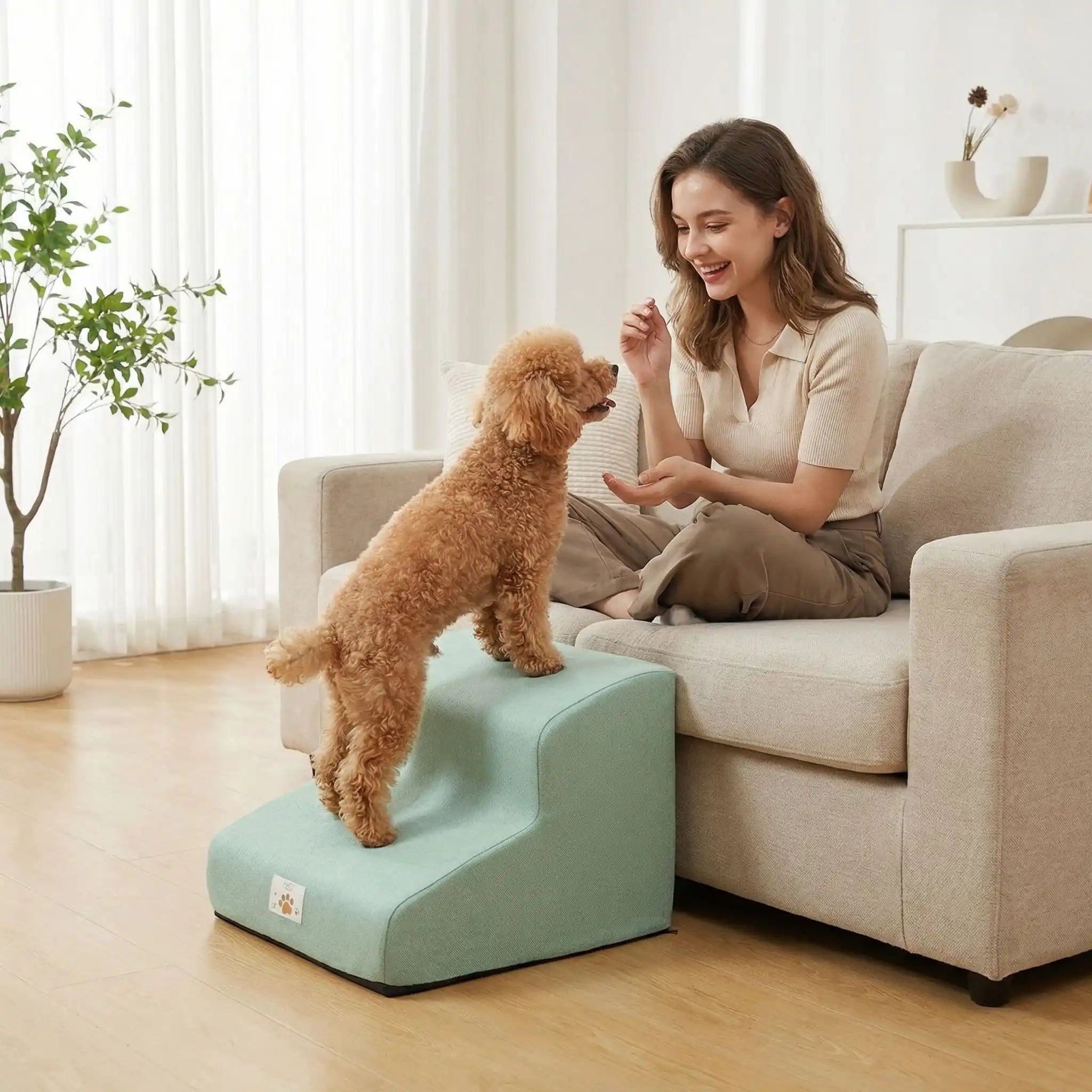 Escalier pour chien - DéhoussableToutou™