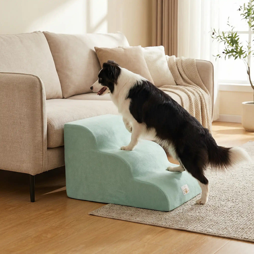 Escalier pour chien - DéhoussableToutou™