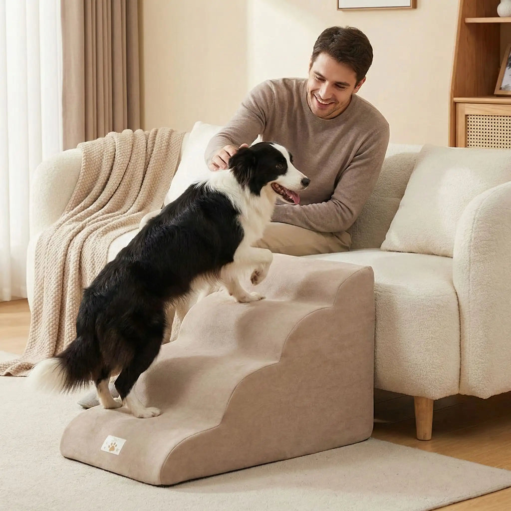 Escalier pour chiens - DéhoussableToutou™