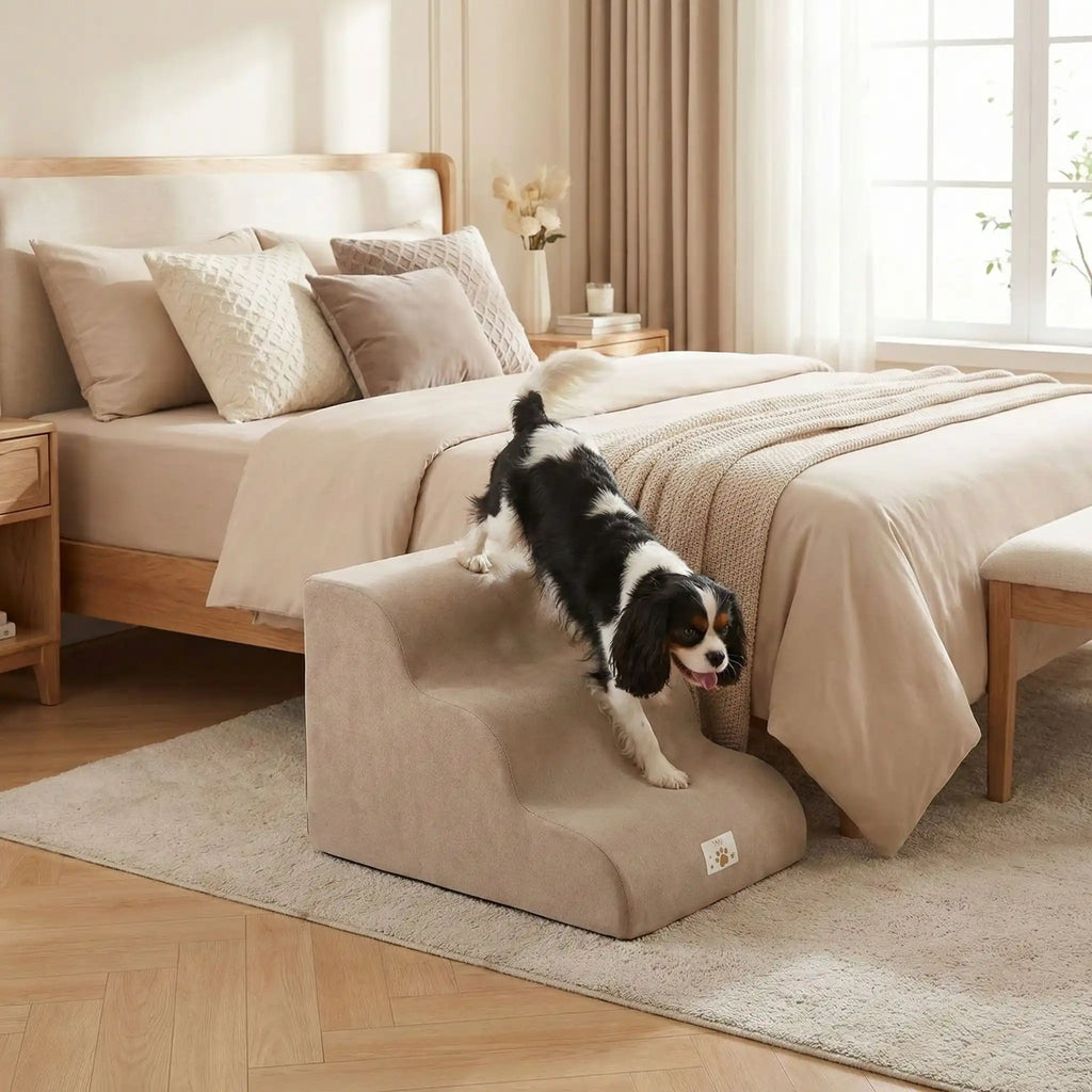 Escalier pour chiens - DéhoussableToutou™