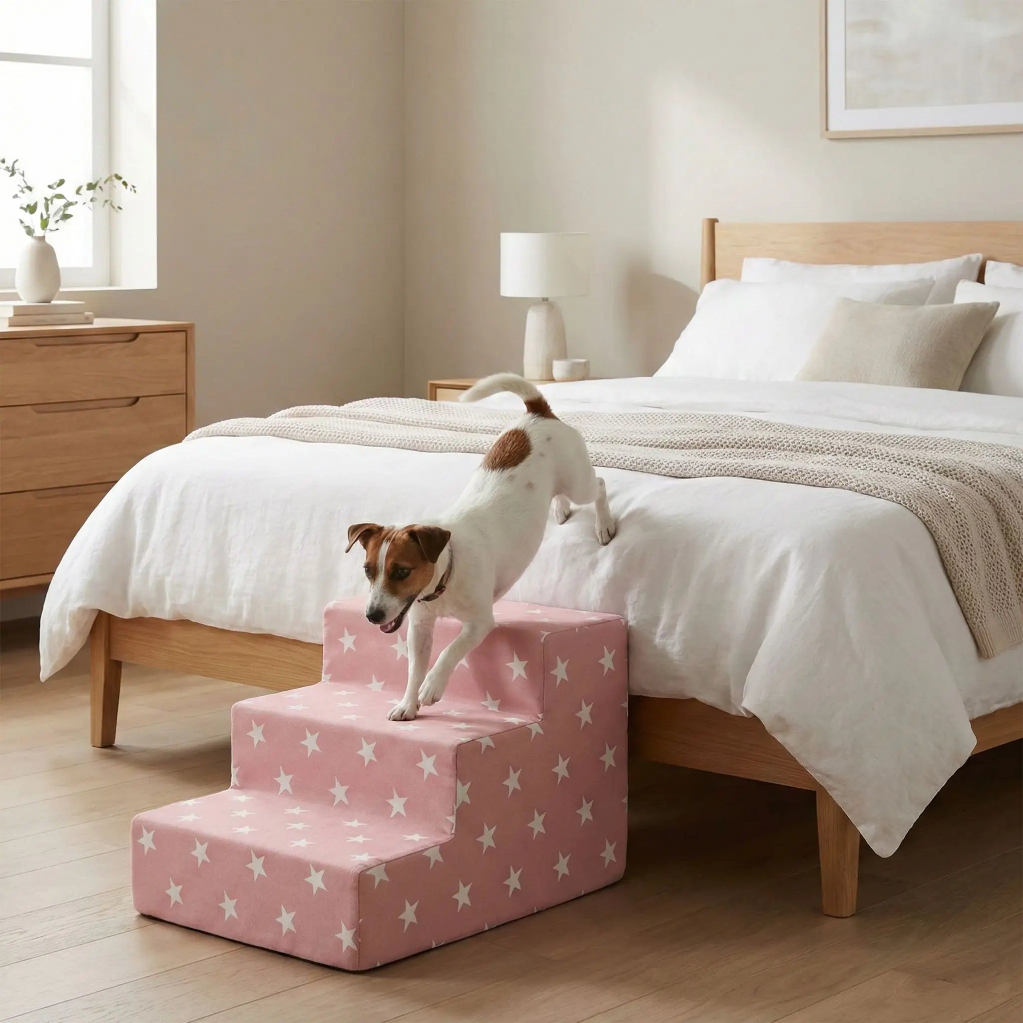 Escalier pour chien - ErgonomiqueToutou™