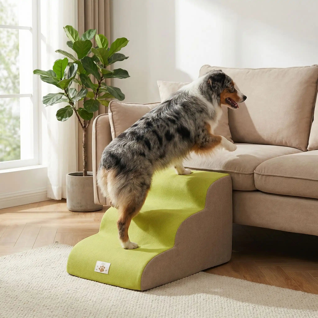 Escaliers pour chien - DéhoussableToutou™