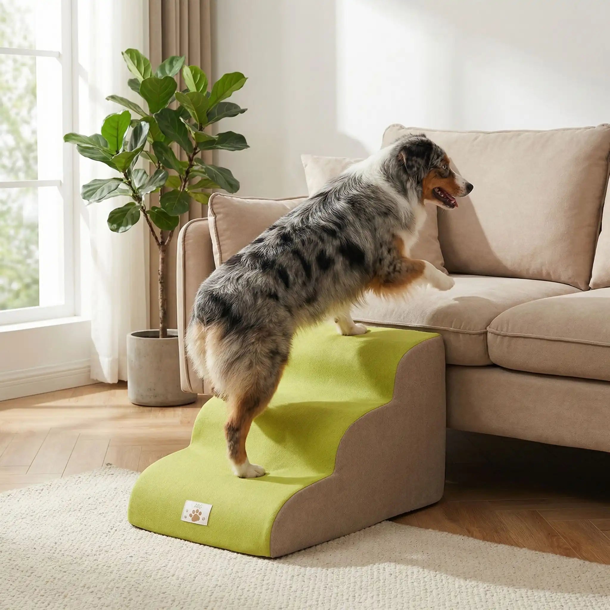 Escaliers pour chien - DéhoussableToutou™