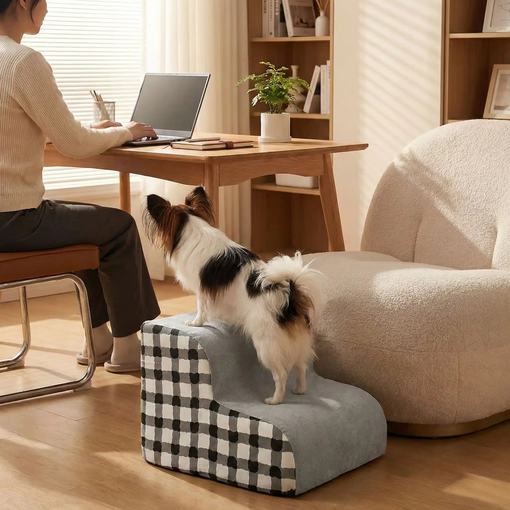 Escaliers pour chien - PetitToutou™