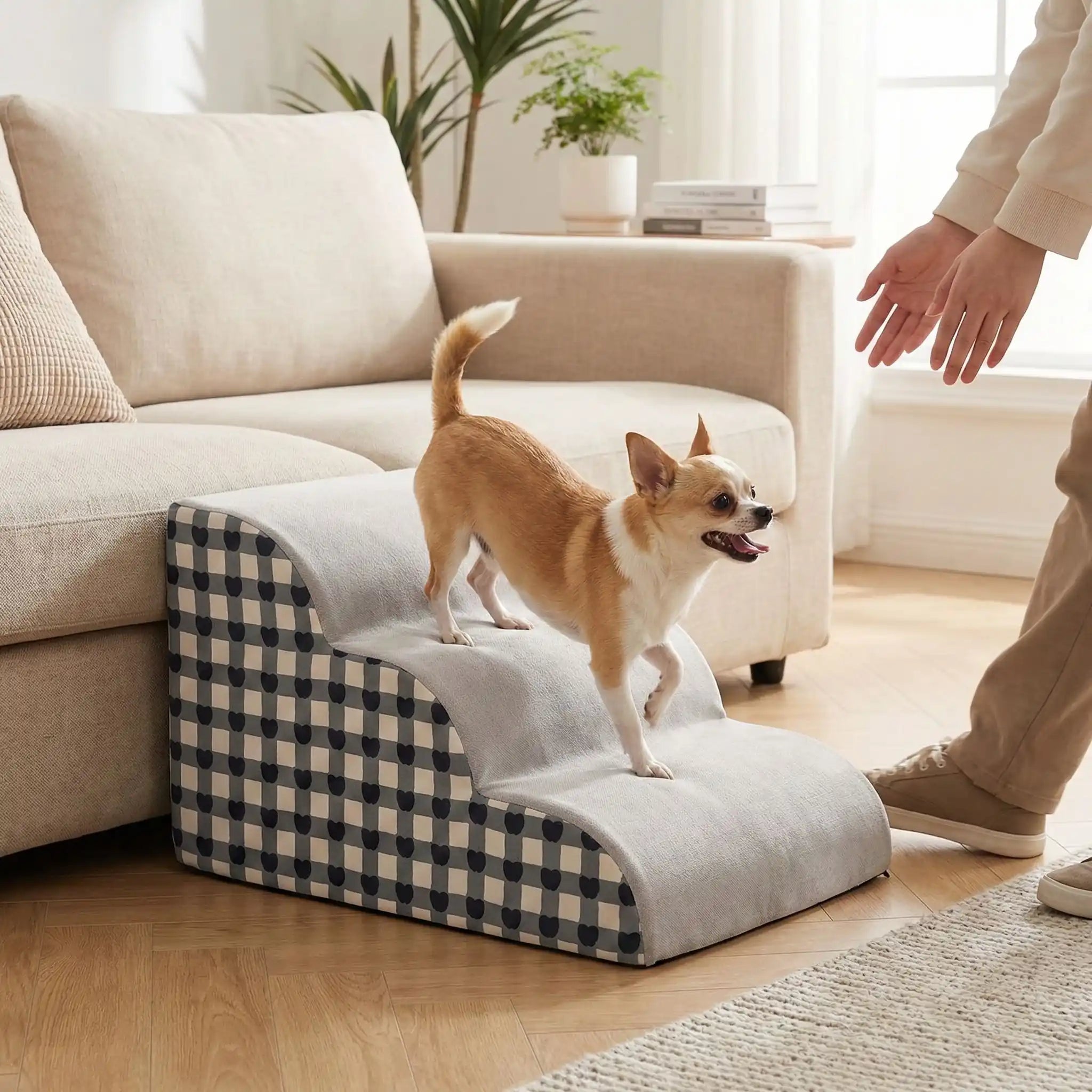 Escaliers pour chien - PetitToutou™