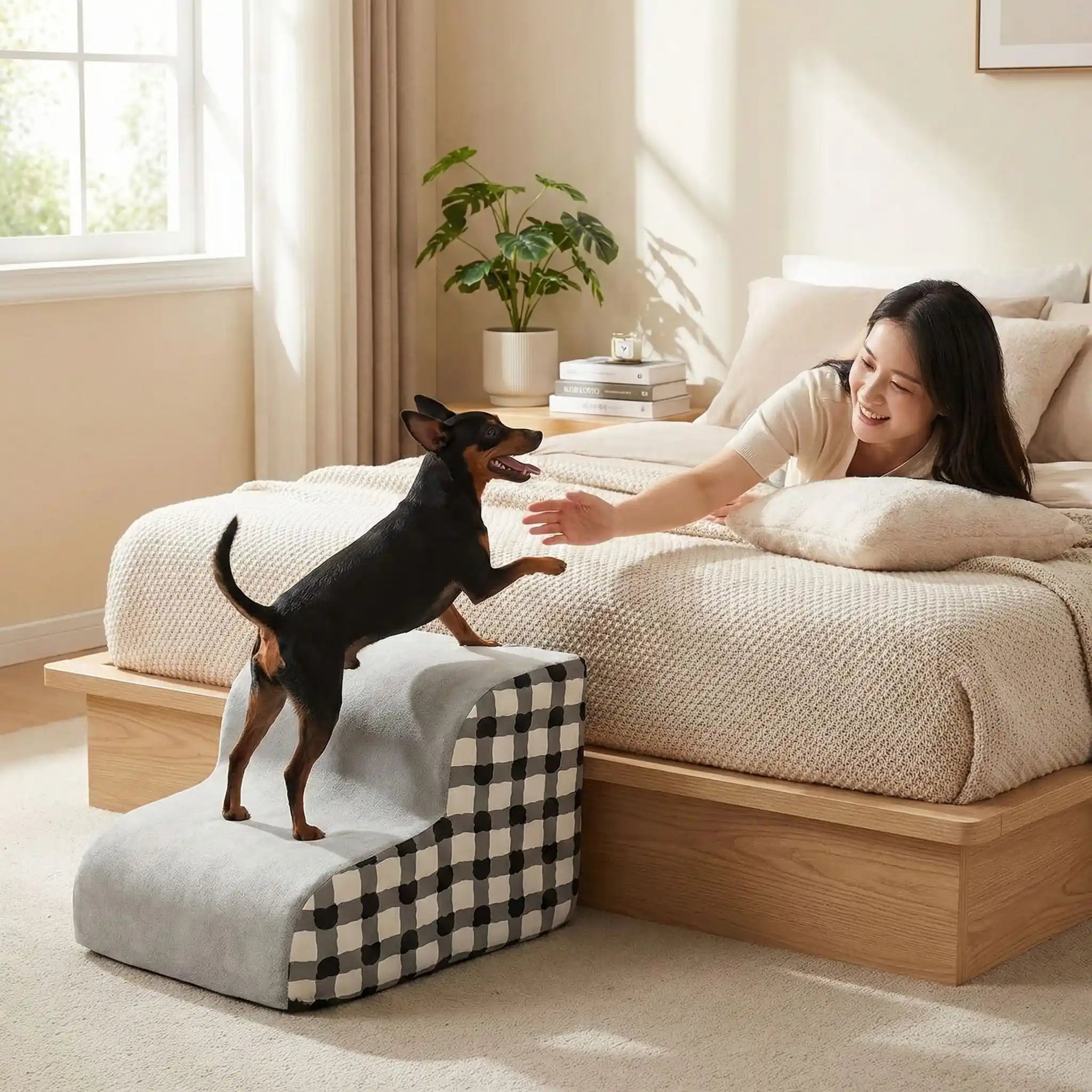 Escaliers pour chien - PetitToutou™