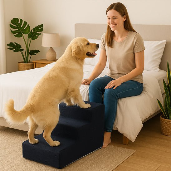 Escaliers pour chien - MousseToutou™