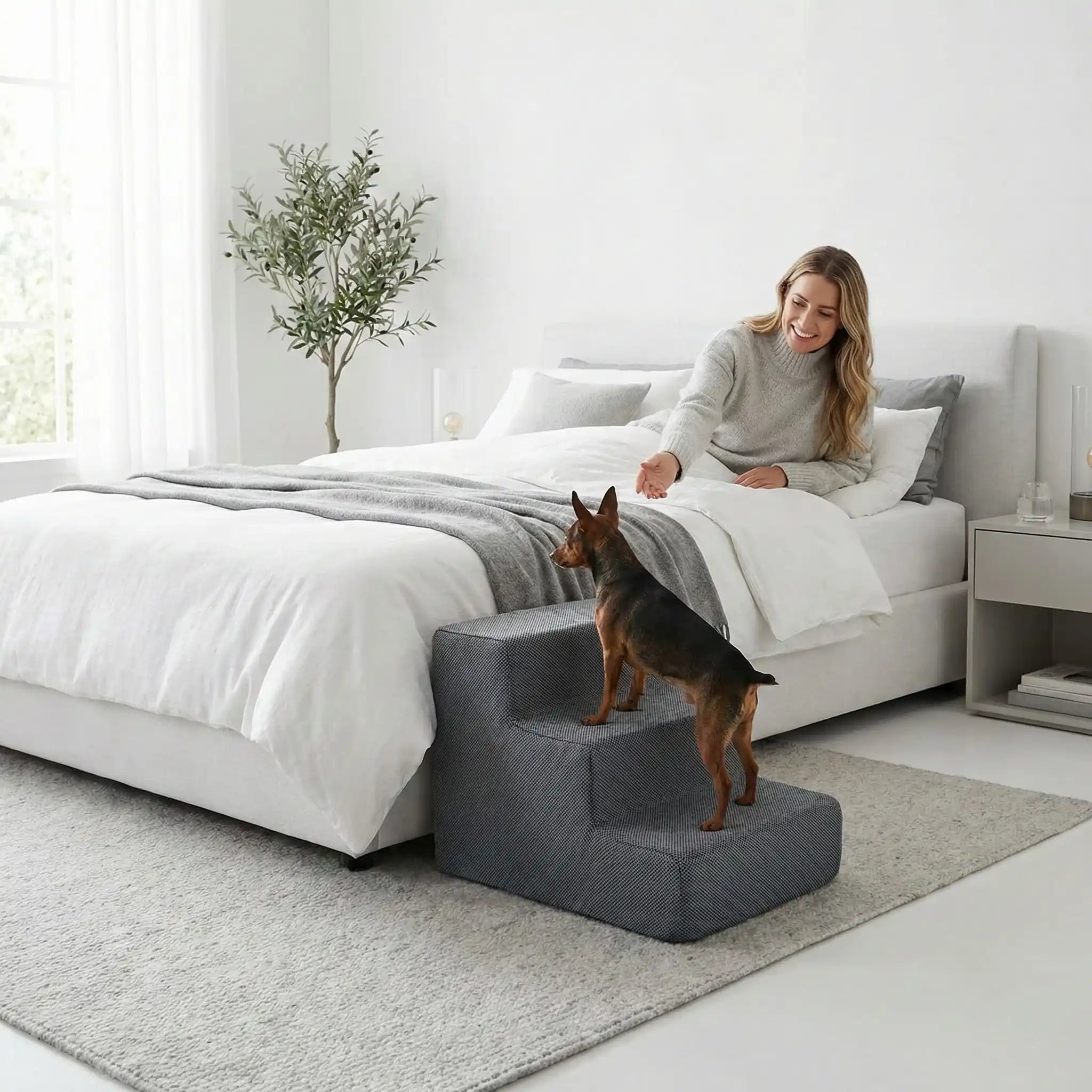 Escaliers pour chiens - DéhoussableToutou™