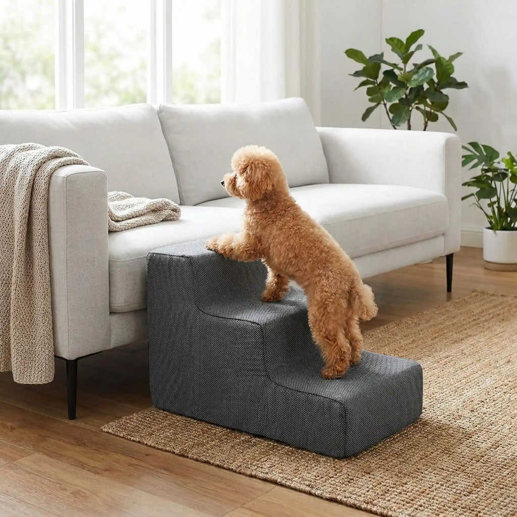 Escaliers pour chiens - DéhoussableToutou™