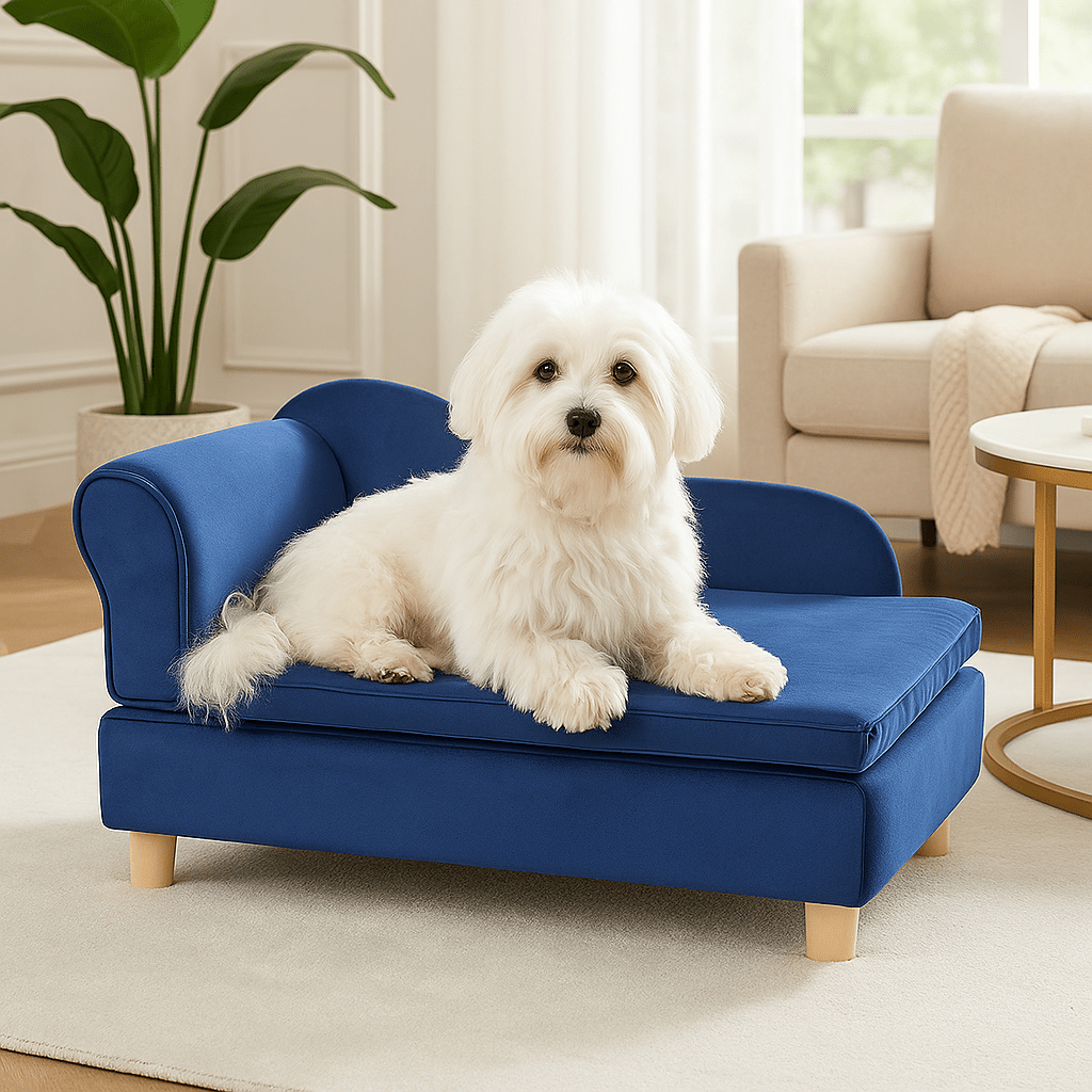 Fauteuil pour chien - PetitToutou™