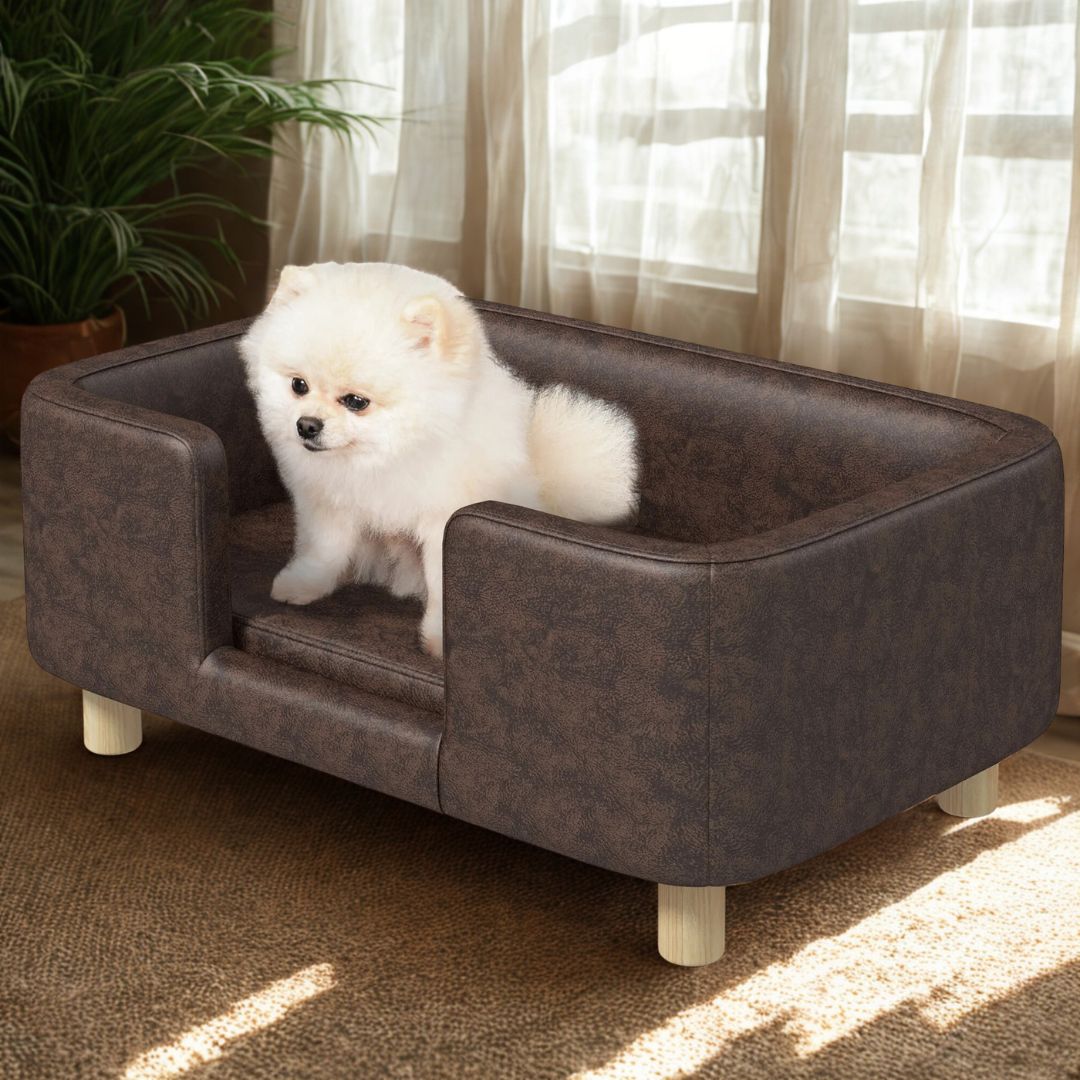 Fauteuil pour petit chien - DesignToutou™