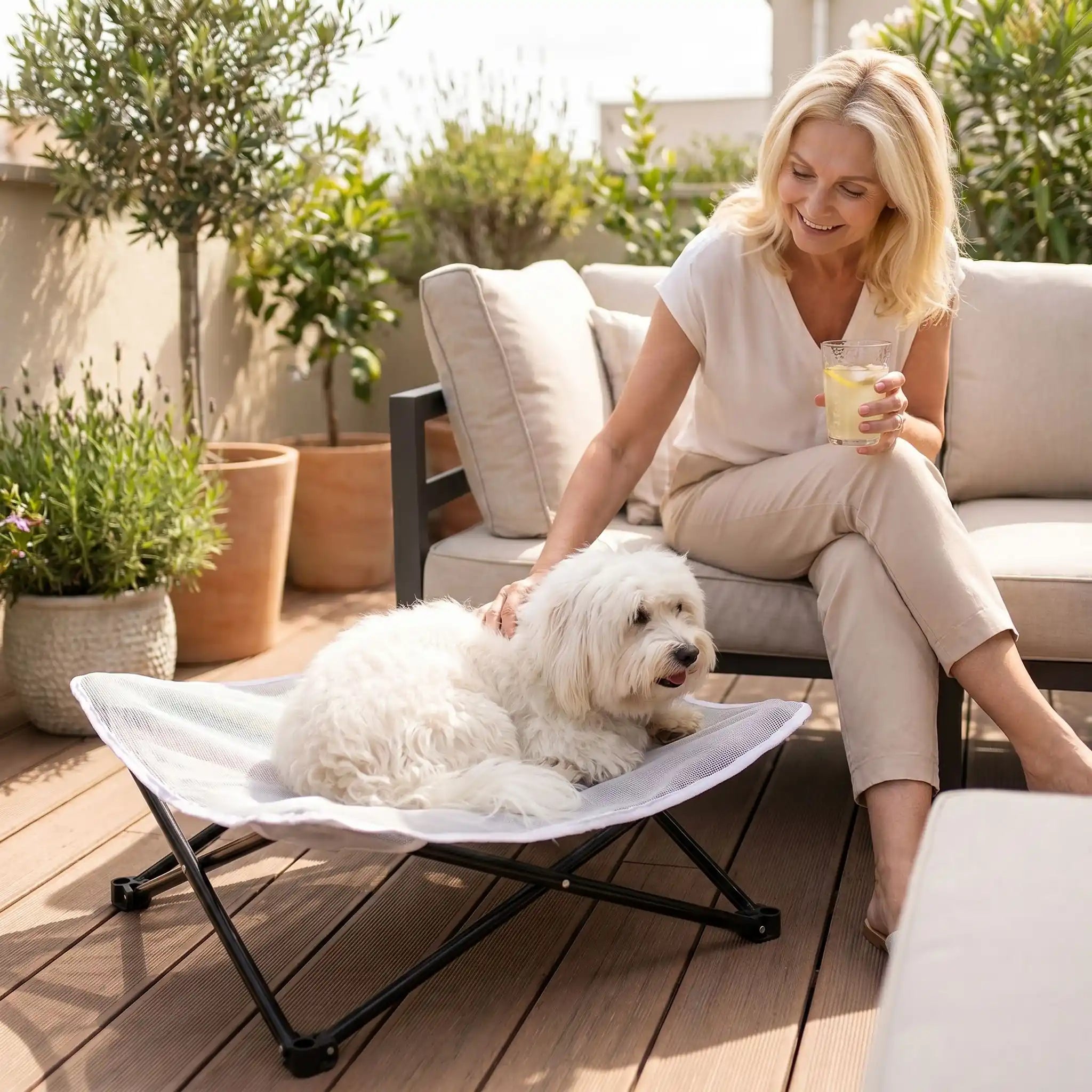 Fauteuil pour petit chien - CampingToutou™