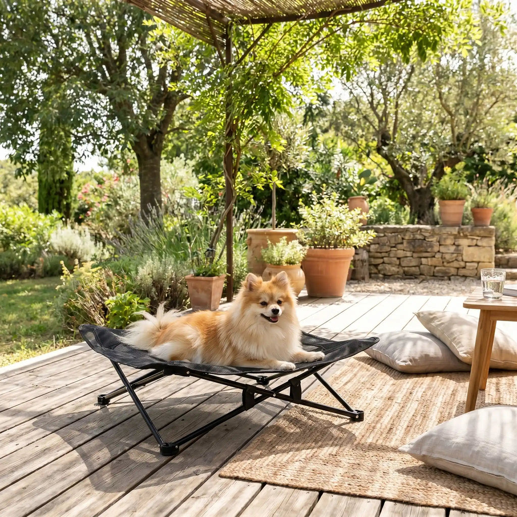 Fauteuil pour petit chien - CampingToutou™