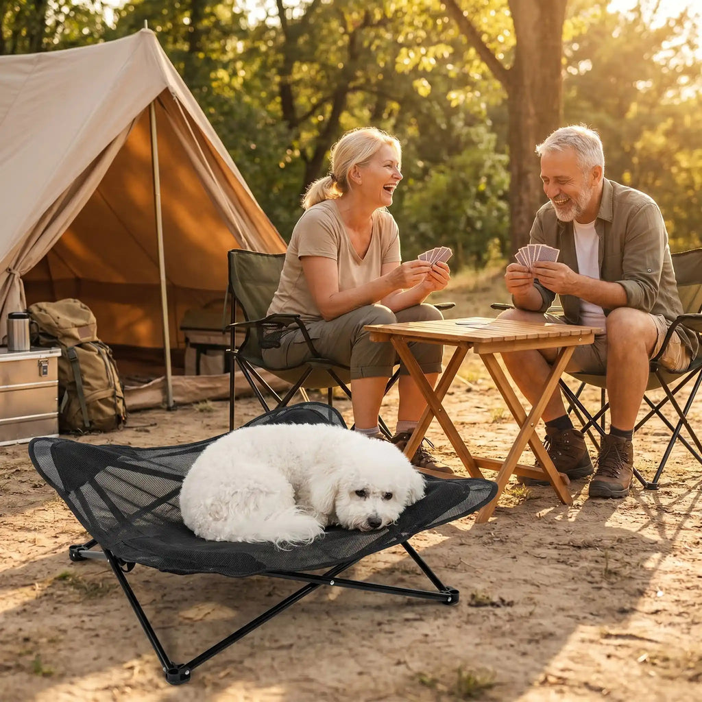 Fauteuil pour petit chien - CampingToutou™