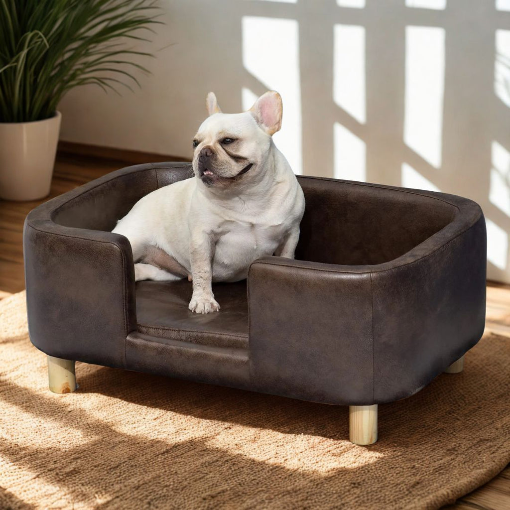 Fauteuil pour petit chien - DesignToutou™