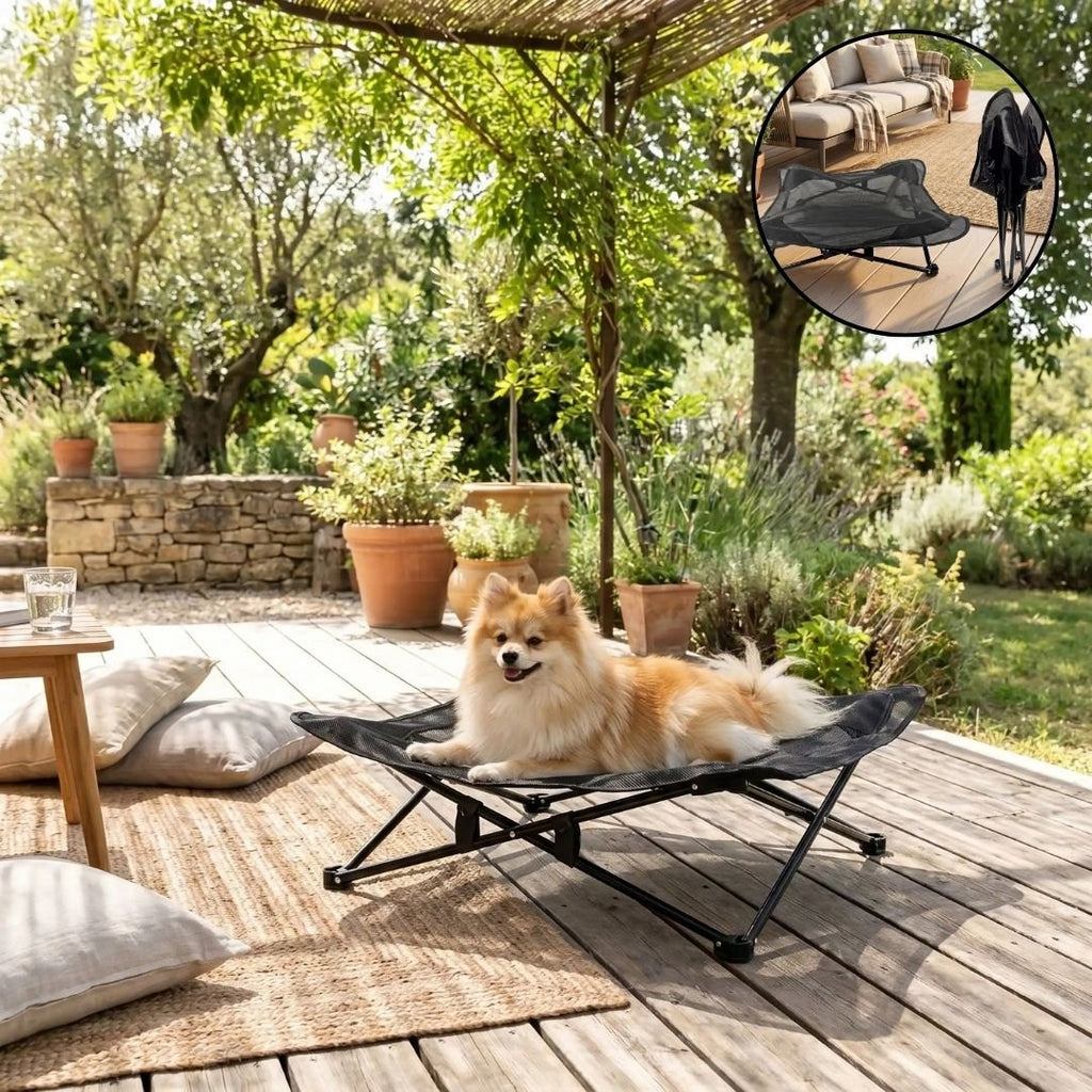 Fauteuil pour petit chien - CampingToutou™