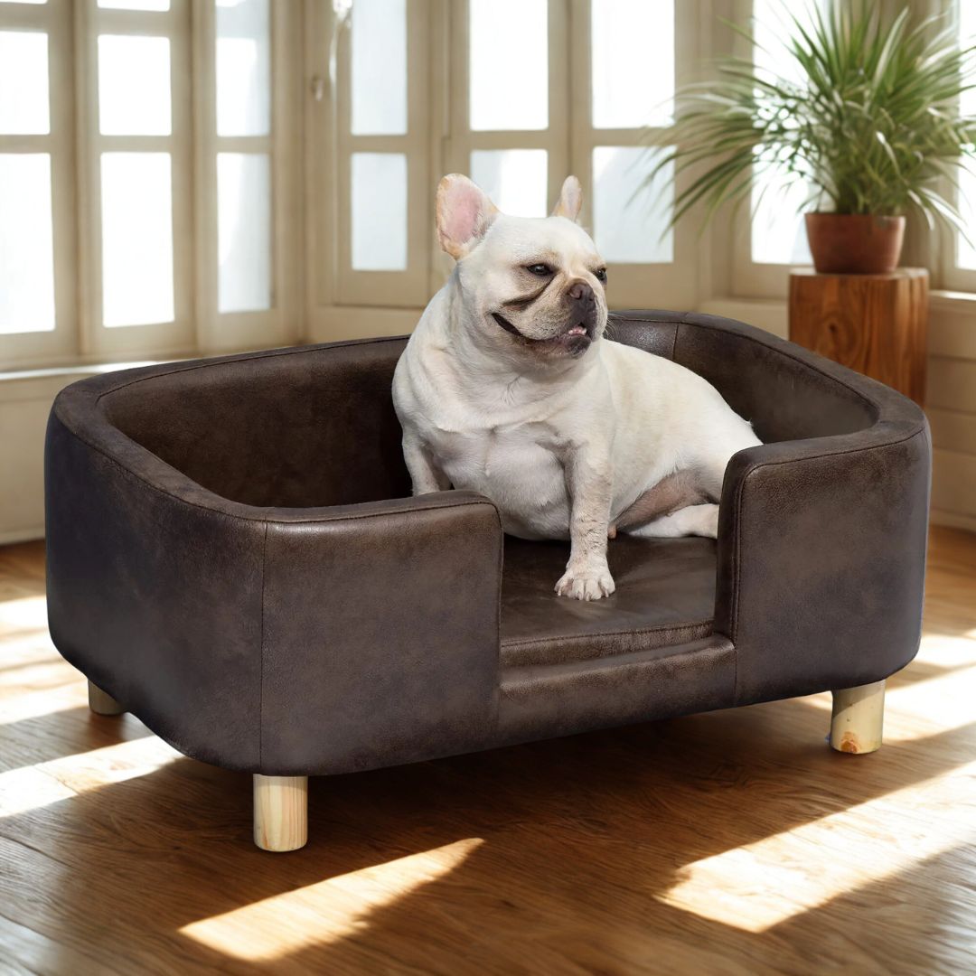 Fauteuil pour petit chien - DesignToutou™