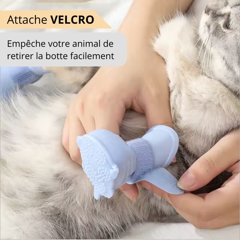 Chausson Silicone Chien