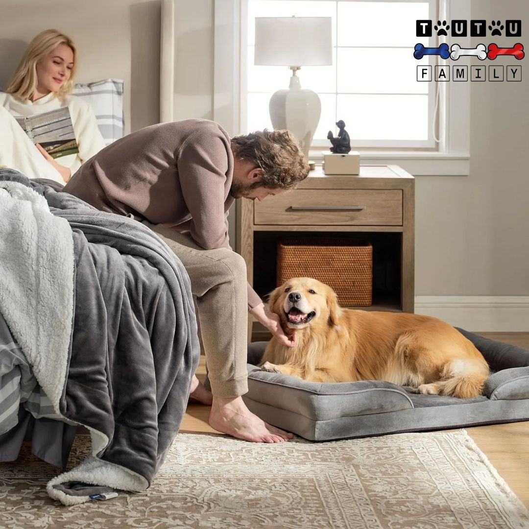 Grand panier pour chien - OrthopédiqueToutou™