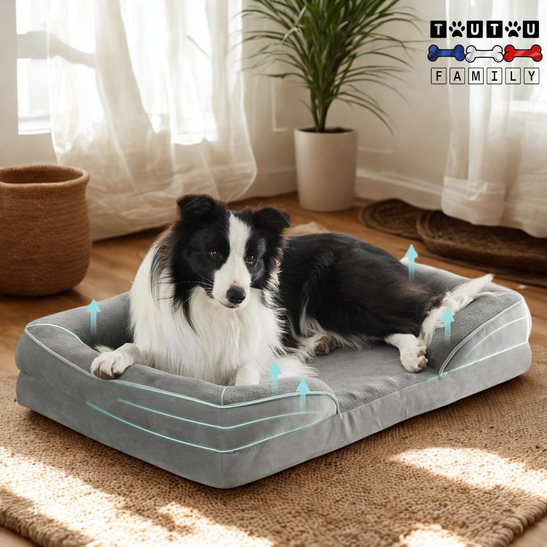 Grand panier pour chien - OrthopédiqueToutou™
