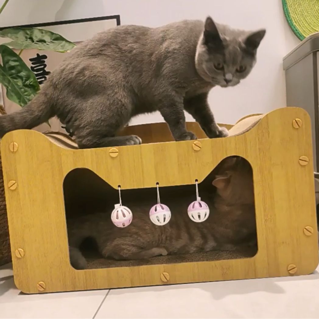 Griffoir pour chat cabane