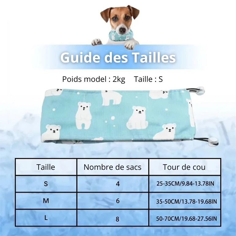 Collier Rafraichissant pour Chien