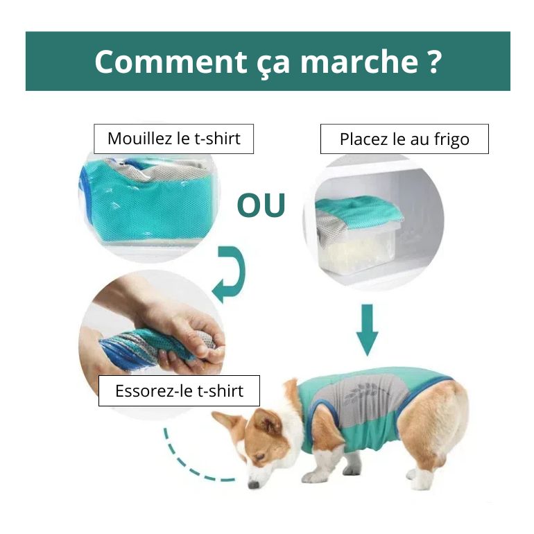 Gilet Rafraîchissant pour Grand Chien