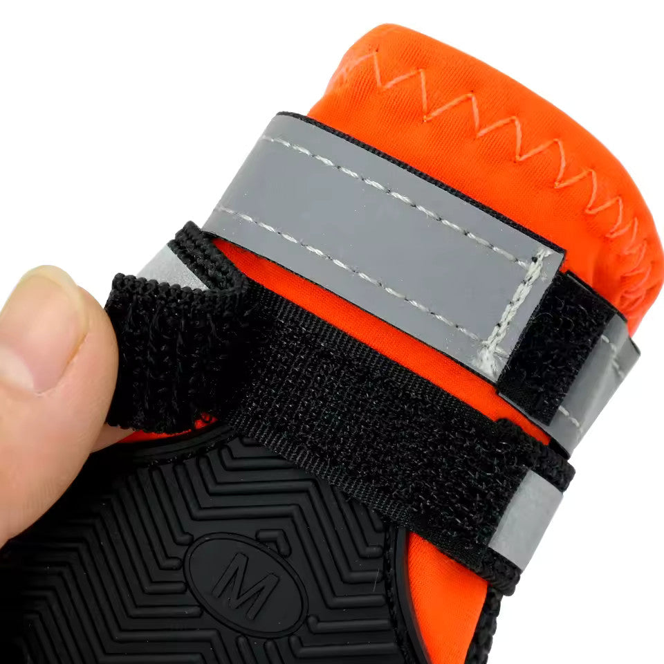 Chaussure Montagne Chien