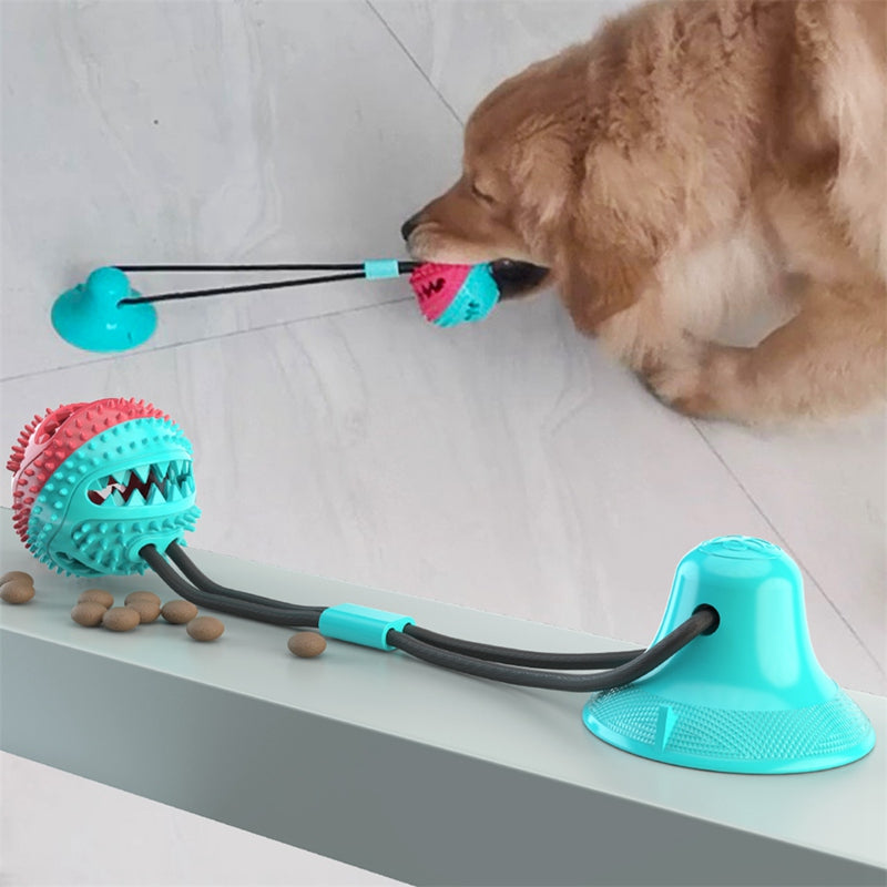 La balle pour chien anti-stress | BouncePup™