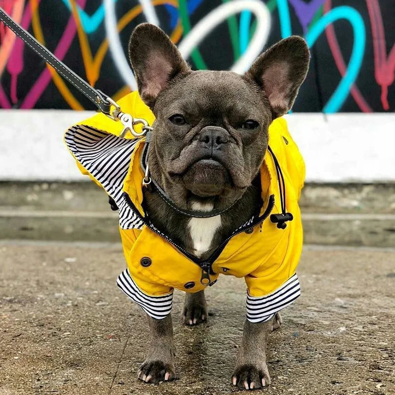 Manteau Pluie Carlin et Petit Chien