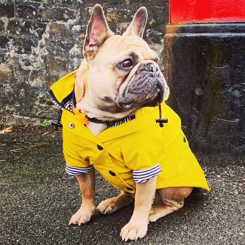 Manteau Pluie Carlin et Petit Chien