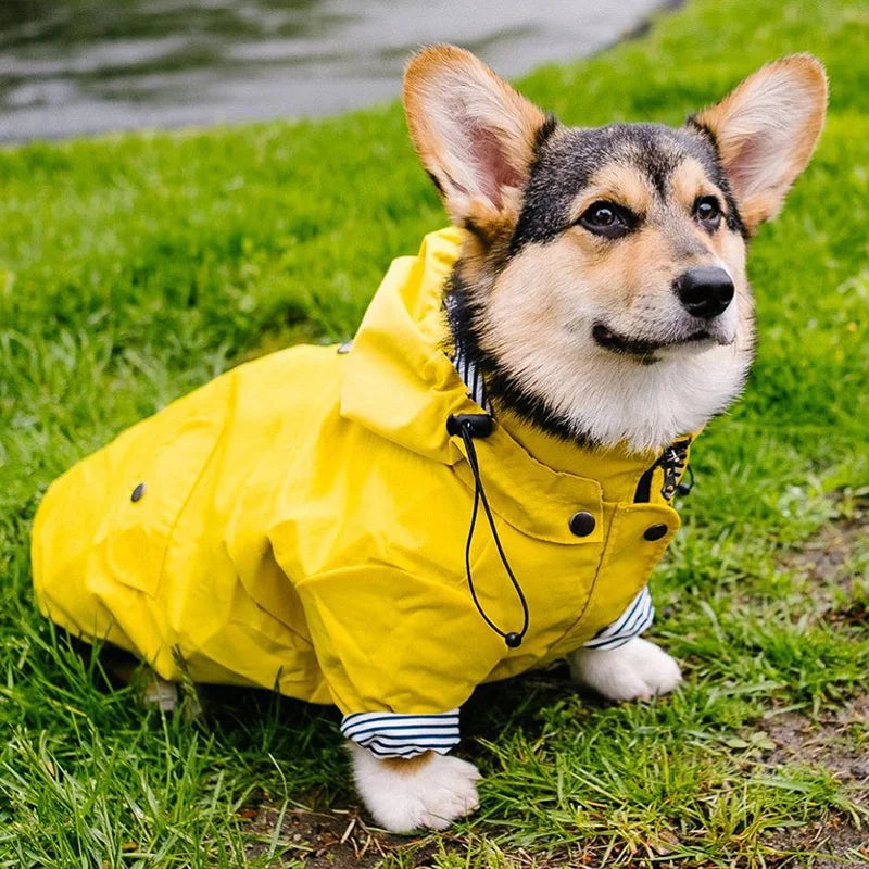 Manteau Pluie Carlin et Petit Chien